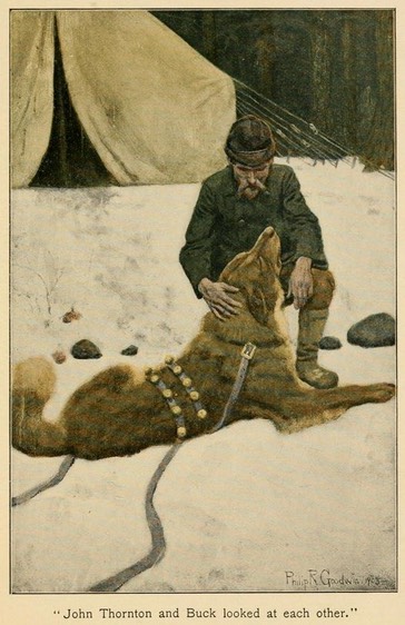 call-of-the-wild-142